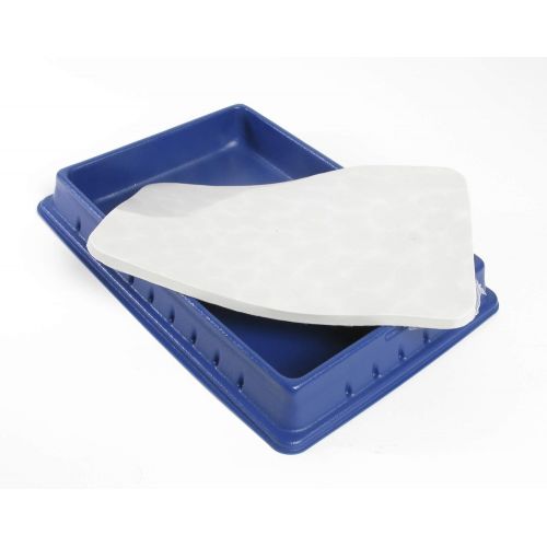  American Educational Products American Educational Standard Dissection Pan with Pad and Cover