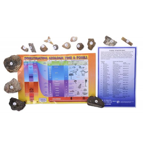  American Educational Products American Educational 3005B Fossil Starter Bag