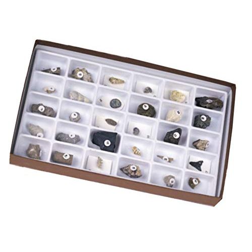  American Educational Products American Educational 30 Piece Advanced Fossil Collection