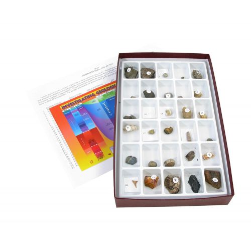  American Educational Products American Educational 30 Piece Advanced Fossil Collection