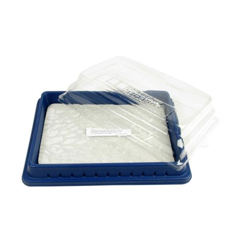  American Educational Products American Educational Deluxe Dissection Pan with Pad and Cover, 12-3/4 Length x 9 Width