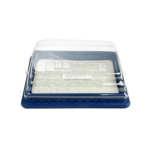  American Educational Products American Educational Deluxe Dissection Pan with Pad and Cover, 12-3/4 Length x 9 Width