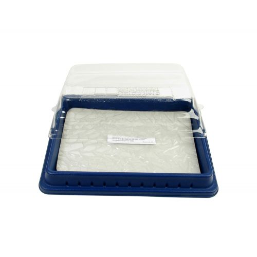  American Educational Products American Educational Deluxe Dissection Pan with Pad and Cover, 12-3/4 Length x 9 Width