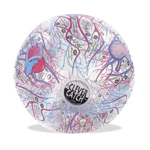  American Educational Products American Educational Vinyl Clever Catch Human Anatomy Ball, 24 Diameter