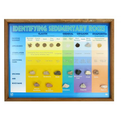  American Educational Products American Educational Identifying Sedimentary Rocks Classroom Project