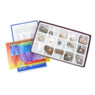 American Educational Products American Educational General Fossil Collection