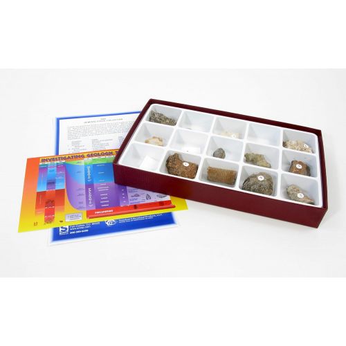  American Educational Products American Educational General Fossil Collection