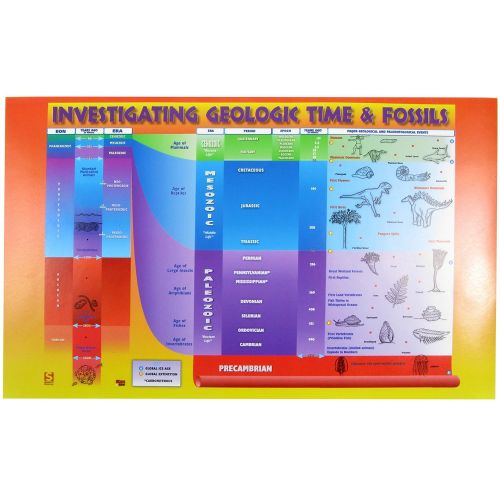  American Educational Products American Educational General Fossil Collection