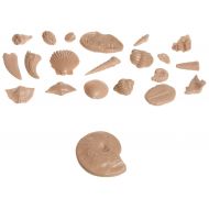 American Educational Products American Educational Basic Fossil Kit