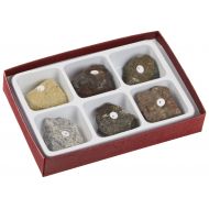 American Educational Products American Educational 2275 6-Piece Moon Rock Kit
