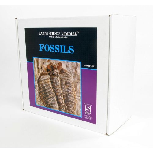  American Educational Products American Educational Fossils Videolab with DVD