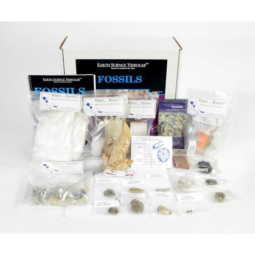  American Educational Products American Educational Fossils Videolab with DVD