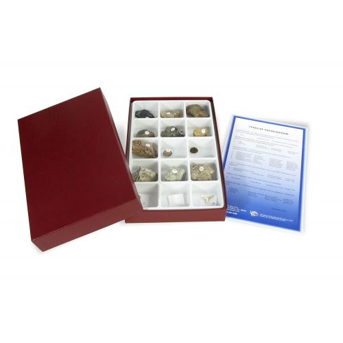  American Educational Products American Educational Types of Fossilization Collection