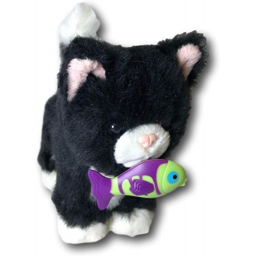  American Girl Pet - Tuxedo Cat for Dolls - Truly Me 2017