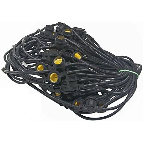  American Lighting LS-M-24-100-BK Commercial Grade Light String with 50-Sockets, Medium Base, 100-Feet