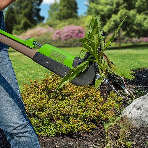  AMES Ames 2917300 40 Stand-Up Weeder