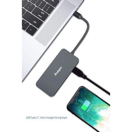  USB C Hub,Amhyker USB Type C Adapter 10 in 1 Ultra Slim Aluminum Gigabit Ethernet,Type C 2 USB 3.0...