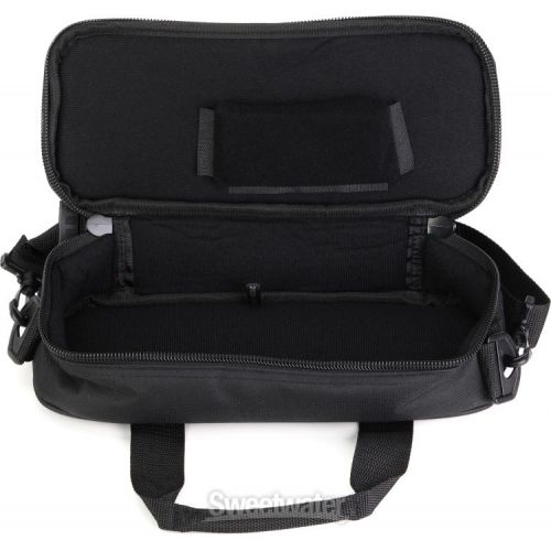  Ampeg Accessory Bag