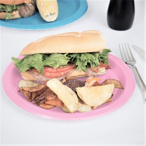  Amscan New Pink Paper Plate Big Party Pack, 50 Ct.