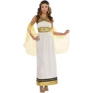 할로윈 용품amscan Adult Divine Goddess Costume - X-Large (14-16), Multicolor