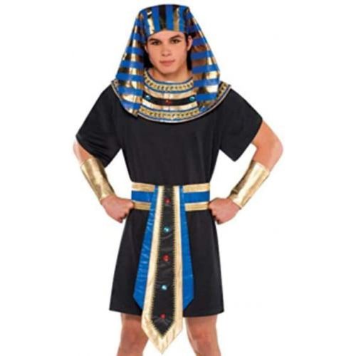  할로윈 용품Amscan 843182 Egyptian Pharaoh Costume, Adult Standard Size, 1 Piece