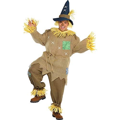  할로윈 용품AMSCAN Mr. Scarecrow Halloween Costume for Men, Plus, with Included Accessories