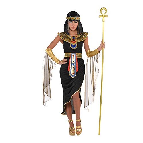  할로윈 용품amscan 847815 Adult Egyptian Queen Cleopatra Costume, Medium Size, Multicolor
