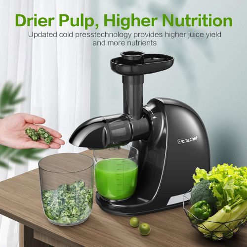  amzchef Masticating Juicer, Slow Juicer Extractor, Cold Press Juicers with Quiet Motor/Reverse Function, Slow Masticating Juicer Machines with Brush, for High Nutrient Fruit & Vege