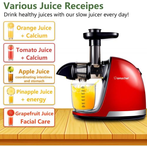 [아마존베스트]Juicer Machines, AMZCHEF Professional Cold Press Juicer Extractor Machine,Quiet Motor, Slow Masticating Juicer with Brush, Reverse Function, For fruit & Vegetable Juice