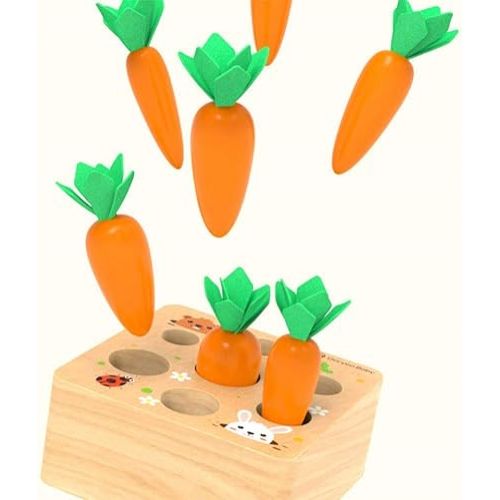  Ancaixin Montessori Toys for Babies 6-12 Months, Wooden Toys for 1 Year Old Boys and Girls, Educational Carrot Harvest Toy for Toddlers, Shape Sorting Matching Puzzle, Developmental Birthday Gifts