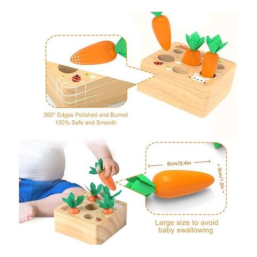  Ancaixin Montessori Toys for Babies 6-12 Months, Wooden Toys for 1 Year Old Boys and Girls, Educational Carrot Harvest Toy for Toddlers, Shape Sorting Matching Puzzle, Developmental Birthday Gifts