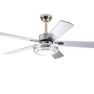 Andersonlight 52-in Stainless Steel Indoor Ceiling Fan with Light Kit and Remote (5-Blade)