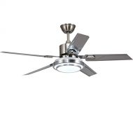 Andersonlight Brushed Steel Indoor Ceiling Fan, Light Kit with White Acrylic Glass and Remote (5-Blade), Dimmable White/Warm / Yellow Light, Quiet Variable Speed Home Improvement 4