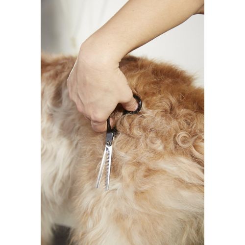  Andis Straight Shears, Left-Handed, Professional Dog and Cat Grooming