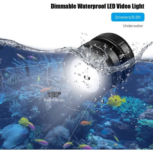  Andoer Dimmable Waterproof Mini LED Video Light Diving Light 5600K Underwater 3meters 120° Wide Beam Angle with Hot-shoe Mount USB Charging Cable for Cameras GoPro 7/6/5 Support Un
