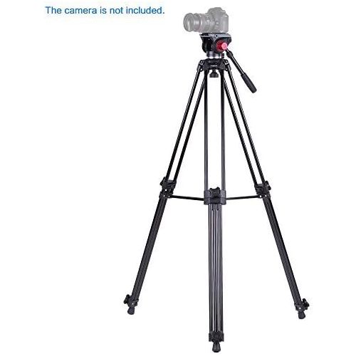  Andoer Professional fluid head tripod, 67inch170cm Portable DV Video Camera Tripod Steady Stand with Detachable Fluid Drag Pan Tilt Head for Video camera Camcorder