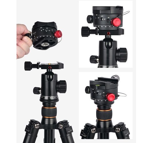  Andoer DH-60 Panoramic Ball Head Indexing Rotator HDR Tripod Head CNC Aluminum Alloy Max. Load 33Lbs for Canon Nikon Sony DSLR Camera