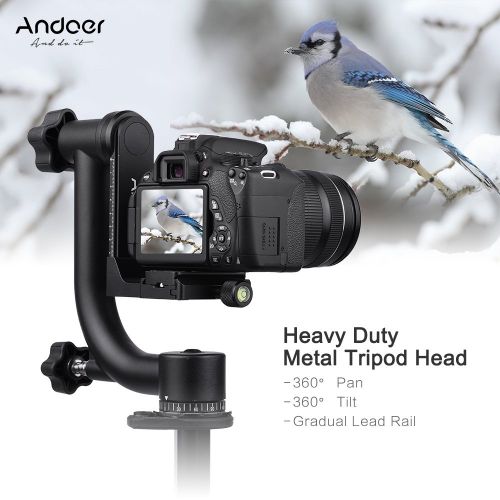  Andoer Heavy Duty Metal Panoramic Gimbal Tripod Head Use for Arca-Swiss Standard Quick Release Plate Aluminum Alloy, Support 30Lbs13.6kg for Canon Nikon Sony DSLR Camera Camcorder