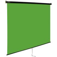 Angler Retractable Background (Chroma Green, 6.9 x 9.9')