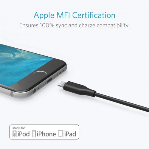 앤커 [2 Pack] Anker Powerline Lightning Cable (4 inch) Apple MFi Certified - Lightning Cables for iPhone Xs/XS Max/XR/X / 8/8 Plus / 7/7 Plus, iPad Mini / 4/3 / 2, iPad Pro Air 2