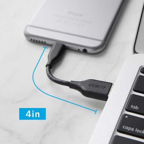 앤커 [2 Pack] Anker Powerline Lightning Cable (4 inch) Apple MFi Certified - Lightning Cables for iPhone Xs/XS Max/XR/X / 8/8 Plus / 7/7 Plus, iPad Mini / 4/3 / 2, iPad Pro Air 2