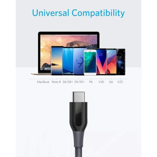 앤커 USB C Cable, Anker Powerline+ USB-C to USB-A [10ft], Double-Braided Nylon Fast Charging Cable, for Samsung Galaxy S10/ S9 / S9+ / S8 / S8+ / Note 8, LG V20 / G5 / G6, and More (Gra