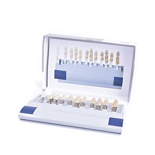  Annhua Dental Teeth Shade Guide, Vita Professional 3D-Master Style Tooth Whitening Shade Chart with 29 Colors