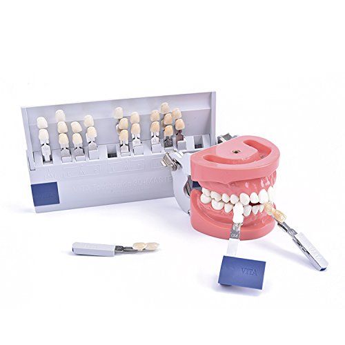  Annhua Dental Teeth Shade Guide, Vita Professional 3D-Master Style Tooth Whitening Shade Chart with 29 Colors