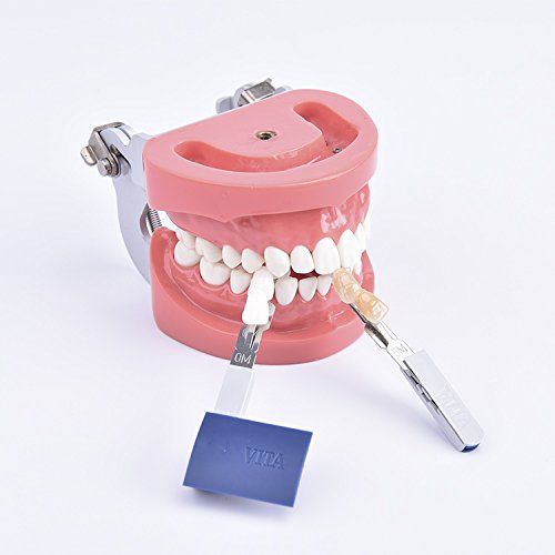  Annhua Dental Teeth Shade Guide, Vita Professional 3D-Master Style Tooth Whitening Shade Chart with 29 Colors