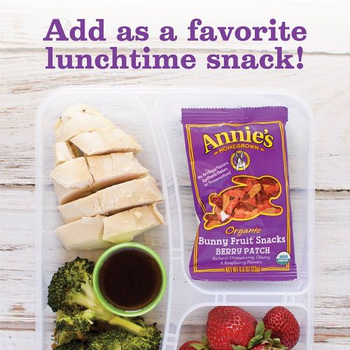  Annies Homegrown Annies Organic Bunny Fruit Snacks, Variety Pack, 12 Pouches, 144 Pouches, 0.8oz (Pack of 12)