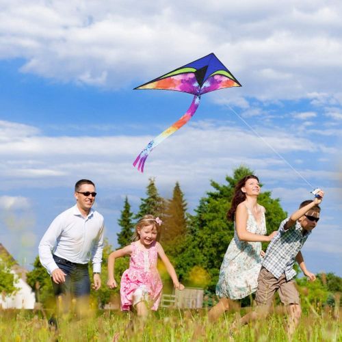  [아마존베스트]Anpro Large Delta Kite - Easy to Assemble, Launch, Fly, for Kids and Beginners, Tail with Colorful Colors