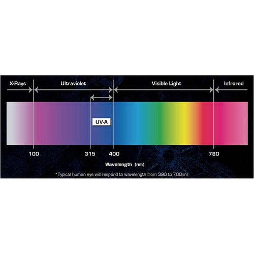  Antari DarkFX Spot 510 IP UV LED Spot
