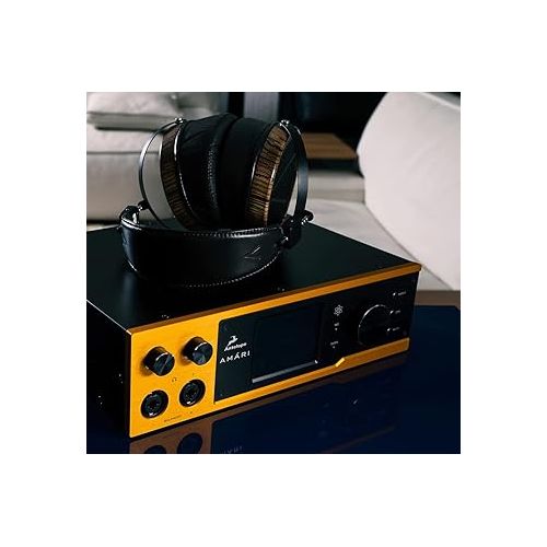  Antelope Audio AMARI Reference-Grade AD/DA Converter with 24-bit, 384 kHz Conversion