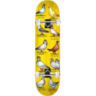Anti Hero Skateboards Anti Hero Skateboard Deck Daan Show Pigeons 8.38 x 32.25 Assorted Colors Complete